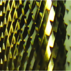 EF-Series.jpg